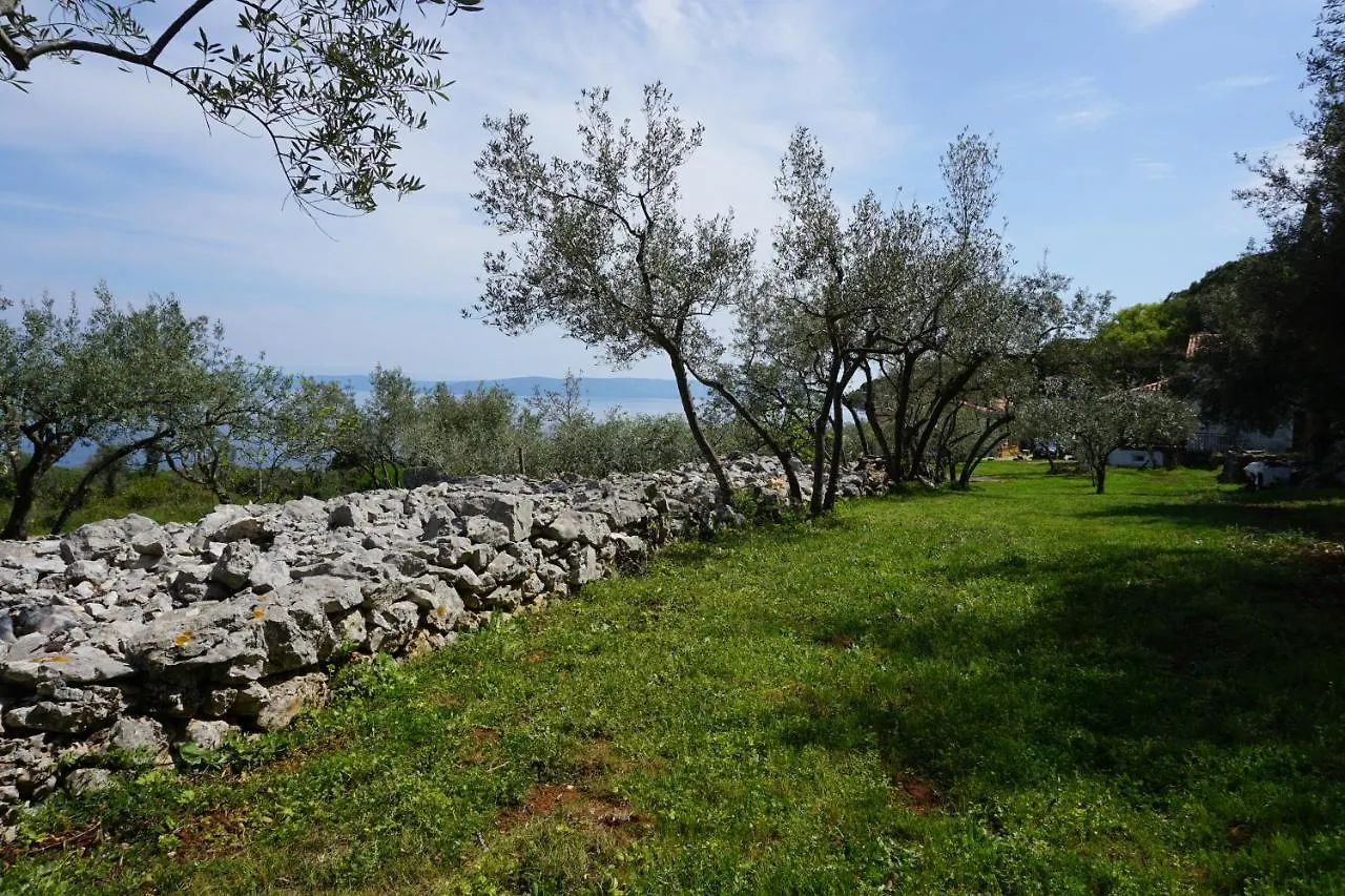Διαμέρισμα Holiday House Istria With Private Pool And Sea View Ravni Κροατία